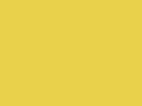 DELMAR gloss yellow