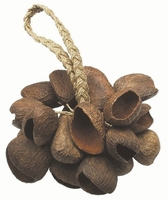 TOCA Shaker seed shell